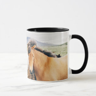 Mug L'Islande trois chevaux de couleur