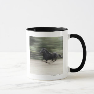 Mug L'Italie, Latium, galoper de cheval de Maremma