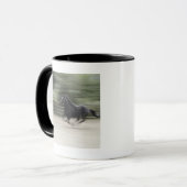 Mug L'Italie, Latium, galoper de cheval de Maremma (Devant gauche)
