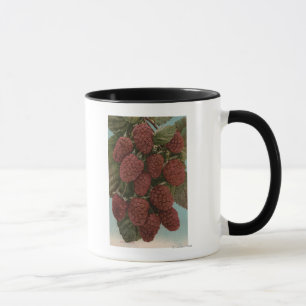 Mug Lithographie de Chromo de fruit de