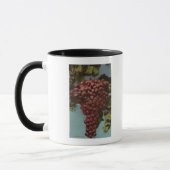 Mug Lithographie de Chromo de Fruits de Californie (Gauche)