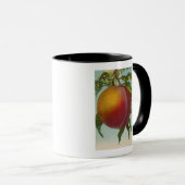 Mug Lithographie de chromo de fruits de PeachFruitStat (Devant droit)