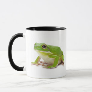 Mug Litora Infrafrenata, grenouille
