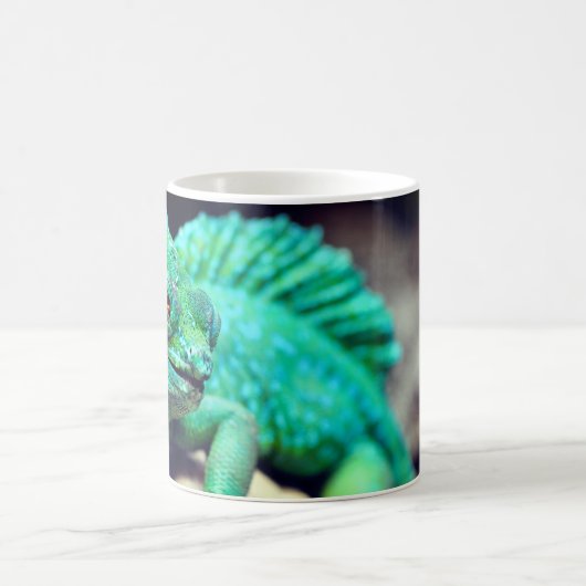 Mug Lizard (Centre)