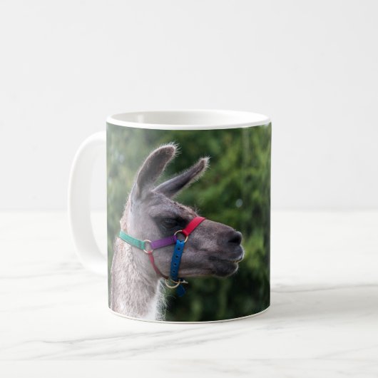 Mug Llama supériorité (Devant gauche)
