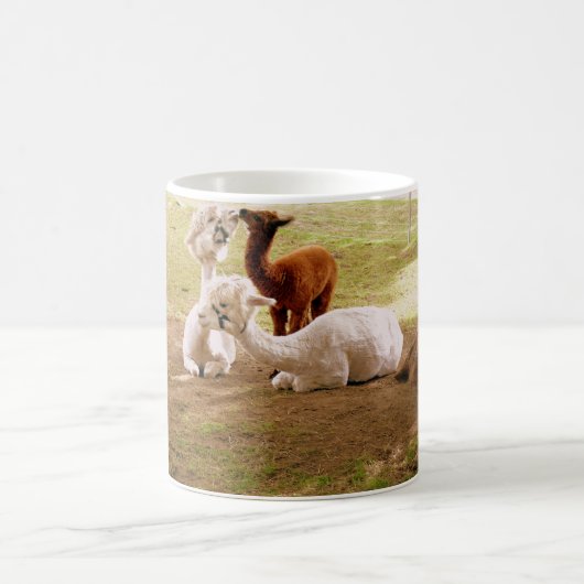 Mug Llamas Avec Bébé Cria (Centre)