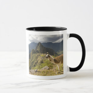 Mug Llamas et vue sur Machu Picchu,