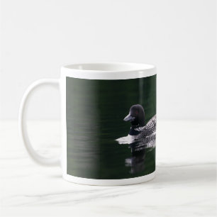 Mug Loin nageant sur Range Pond