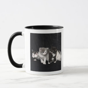 Mug Londres, Angleterre, R-U 3