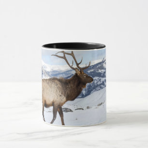 Mug Lone Bull Elk Parc national de Yellowstone
