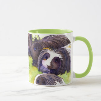 Mug Long Hair Cavies