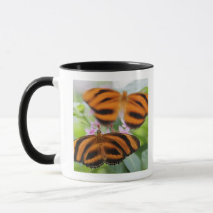 Mug Long papillon 2 d'aile de zèbre