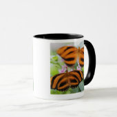 Mug Long papillon 2 d'aile de zèbre (Devant droit)