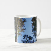 Mug Looking Up at Mariposa Grove (Devant droit)