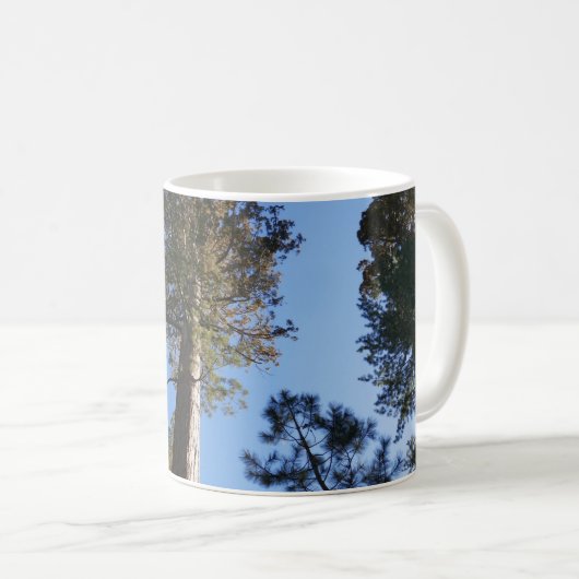 Mug Looking Up at Mariposa Grove (Devant droit)