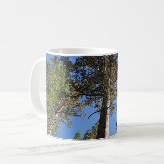 Mug Looking Up at Mariposa Grove (Devant gauche)