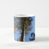 Mug Looking Up at Mariposa Grove (Centre)