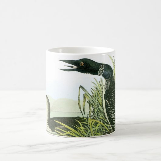 Mug Loon commun par Audubon (Centre)
