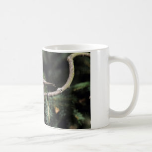 Mug Lophane cristatus