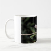 Mug Lophophane cristatus (Gauche)