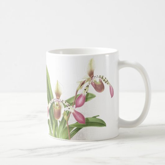 Mug L'orchidée de pantoufle botanique de Ladys fleurit (Droite)