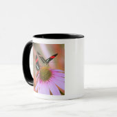 Mug l'Orégon, Etats-Unis 3 (Devant gauche)