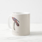 Mug Lori à queue brune, Trichoglossus borneus (Devant gauche)