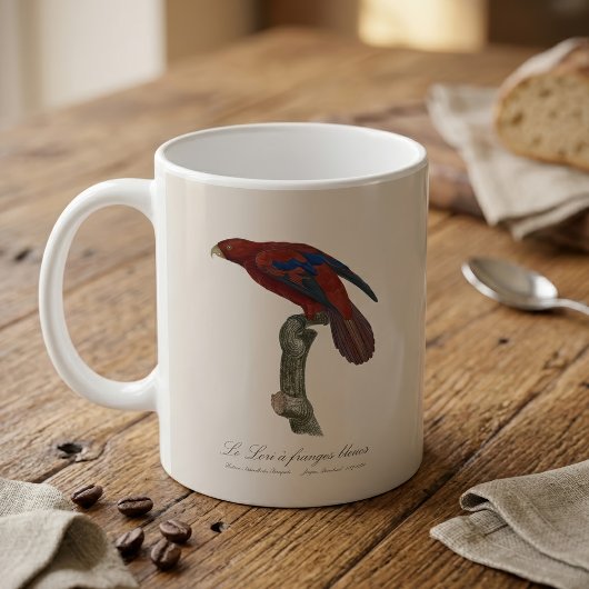 Mug Lori à queue brune, Trichoglossus borneus
