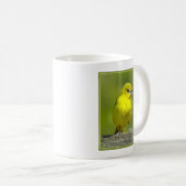 Mug Loriole de verger - Photographie originale (Devant droit)