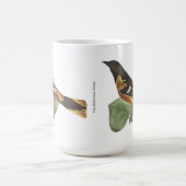 Mug L'Oriole d'Or ou de Baltimore (Icterus galbula) (Centre)