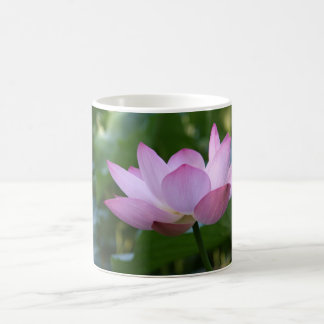 Mug Lotus