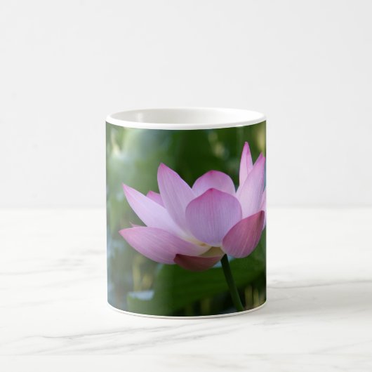 Mug Lotus (Centre)