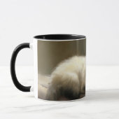 Mug Lounger Siamese Kitten (Gauche)