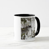 Mug Loup dans la forêt en hiver (Devant droit)