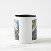 Mug Loup dans Yellowstone 2 (Centre)