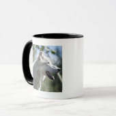 Mug Loup dans Yellowstone 2 (Devant gauche)
