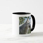 Mug Loup dans Yellowstone 2 (Devant droit)