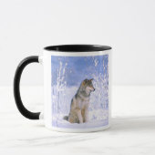 Mug Loup de bois assis dans la neige, Canis lupus, (Gauche)