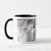 Mug Loup de bois, Canis lupus, Animal de cinéma Utah) (Gauche)
