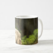 Mug Loup de l'Arctique humide au printemps Photo (Devant droit)