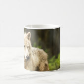 Mug Loup de l'Arctique humide au printemps Photo (Centre)
