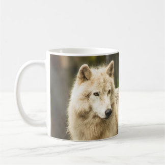 Mug Loup de l'Arctique humide au printemps Photo