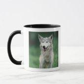 Mug Loup gris 2 (Gauche)