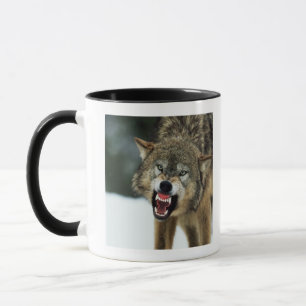 Mug Loup gris de grondement