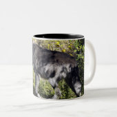 Mug Loup gris Pathfinder (Devant droit)