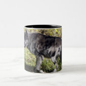 Mug Loup gris Pathfinder (Centre)