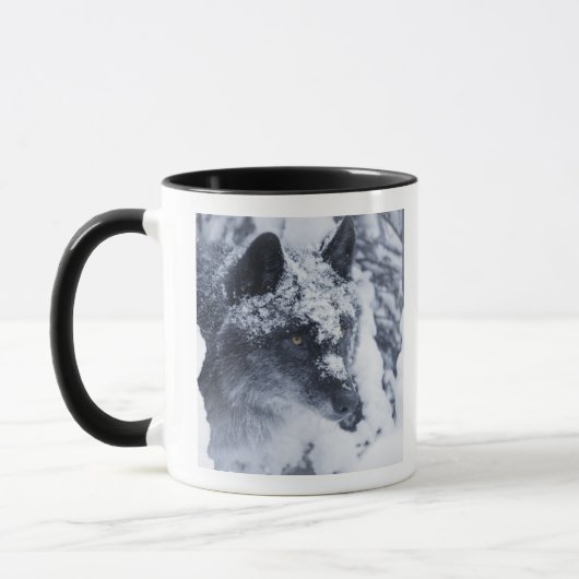 Mug Loup solitaire dans la neige (Gauche)