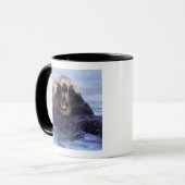 Mug Loupe de mer | Alaska, USA (Devant gauche)