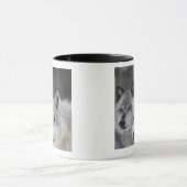 Mug Loups (lupus de Canus) | Yellowstone occidental (Centre)