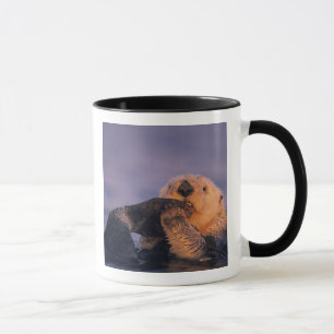 Mug Loutre de mer, Enhydra lutris